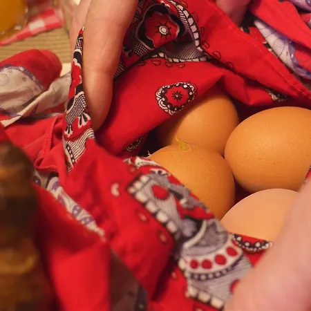 Bed and Breakfast Bed And Breakfast Millingen Aan De Rijn