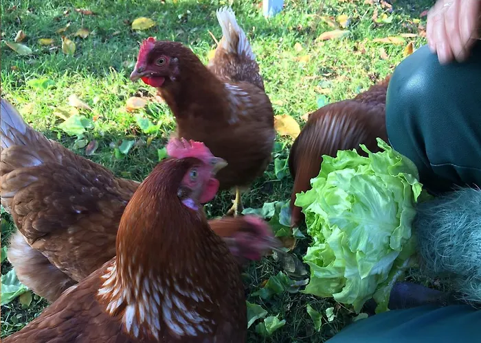 Bed And Breakfast Millingen Aan De Rijn